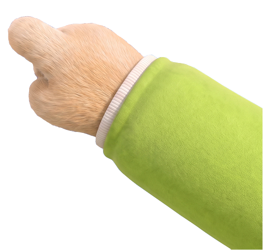 Right Paw